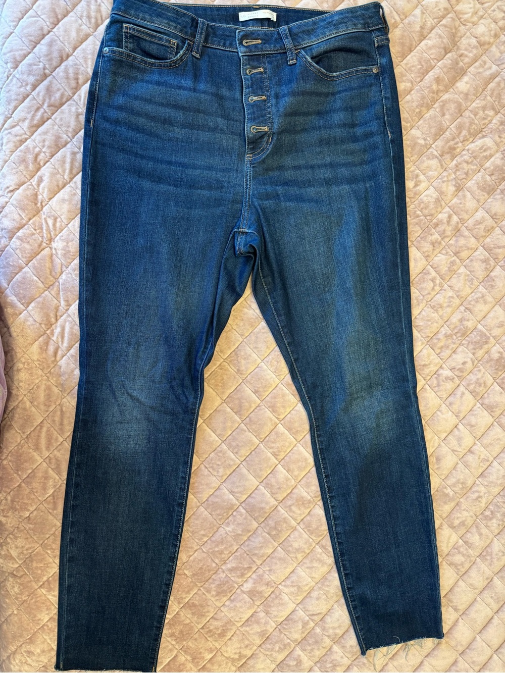 LC Lauren Conrad Dark Blue Skinny Button-Fly Jeans